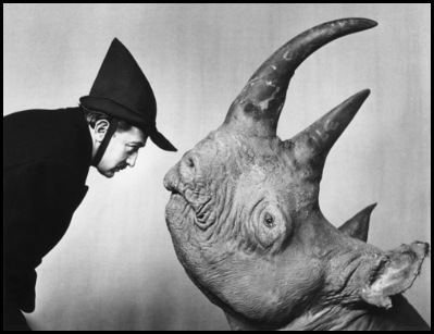 rhino