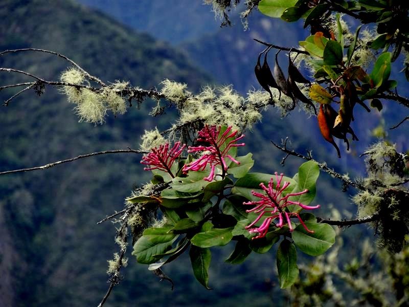 [Machu_Picchu_DSC021594.jpg]