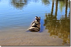 IMG_6579 IMG_6579