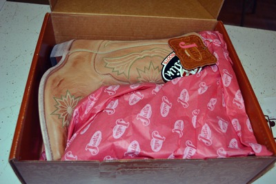 [new-in-box3.jpg]