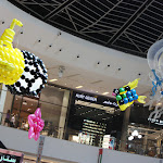 IMG_88592.jpg