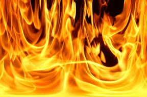 feu feu