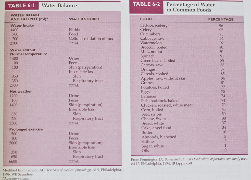 [Water%2520Balance%2520and%2520Water%2520Percentage%2520in%2520Foods%2520Table%255B6%255D.jpg]