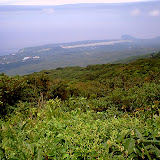 VQ1005