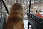 Exploring an Icy Farm