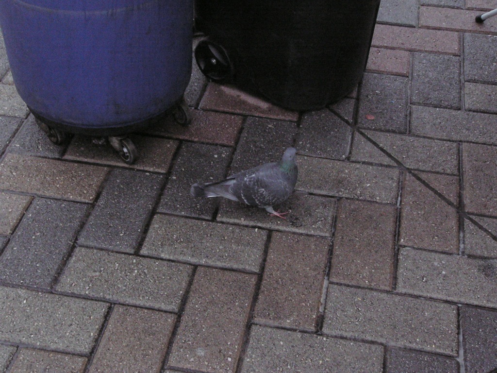 [P1110713%255B3%255D.jpg]