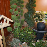 IMG_5379.jpg