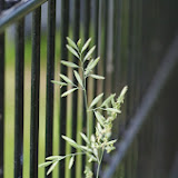 IMGP1027.JPG