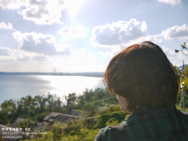 調整大小P1180129 調整大小P1180129