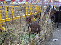23102011639.jpg