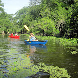 Two OClock Bayou Paddle July 14, 2012 - IMG_0041.JPG