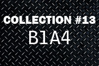 C13