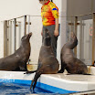 hokkaido_393.jpg
