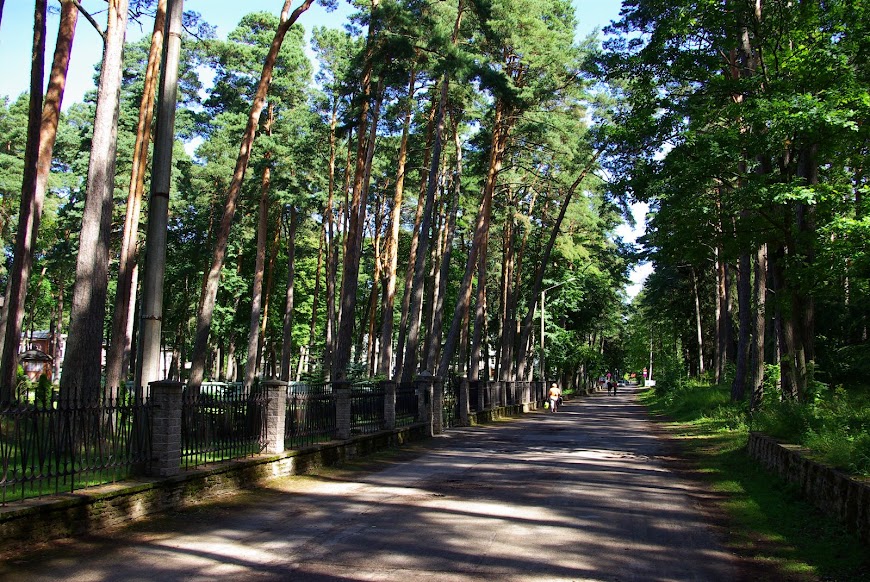 IMGP7885.JPG