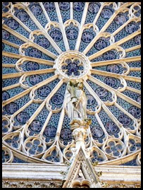 Rouen rose_edited-1 Rouen rose_edited-1