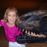 Natural History Museum 2009