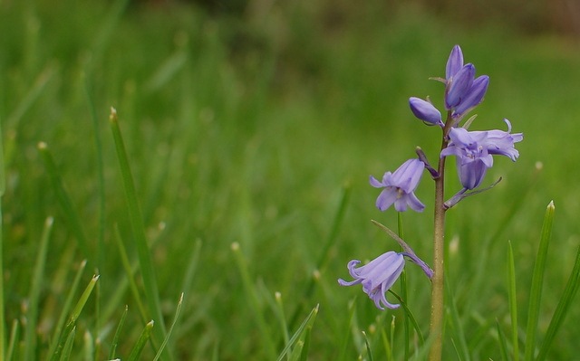 [DSC_5841%255B4%255D.jpg]