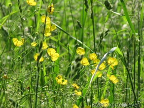 20120527 035