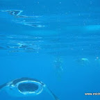 l016.jpg