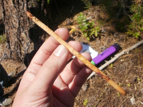 [P90708551_thumb1%255B2%255D.jpg]
