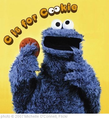 'cookie-monster' photo (c) 2007, Michelle O'Connell - license: http://creativecommons.org/licenses/by/2.0/