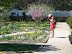 Mt Vernon in Spring