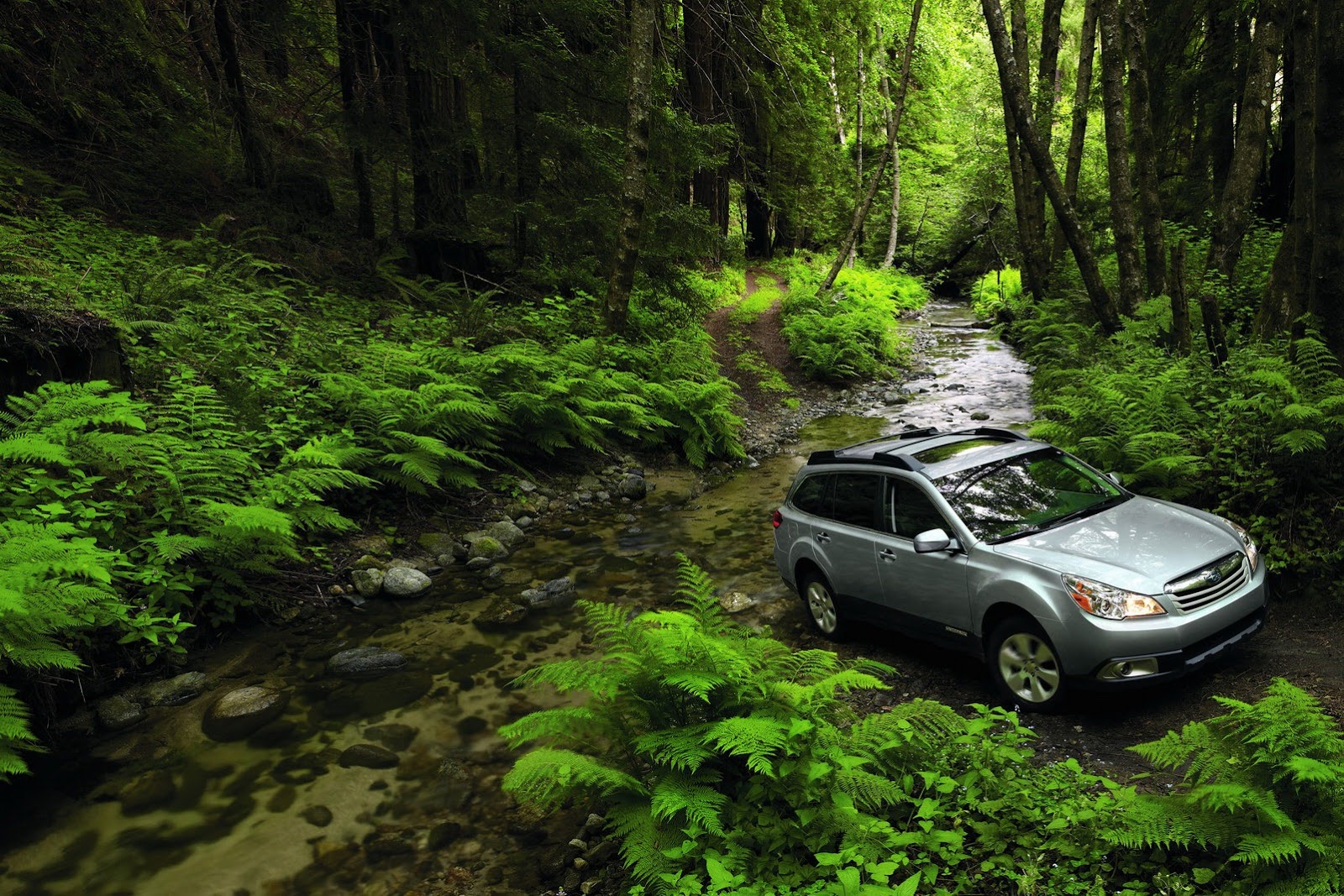[Subaru-Recall-9%255B2%255D.jpg]