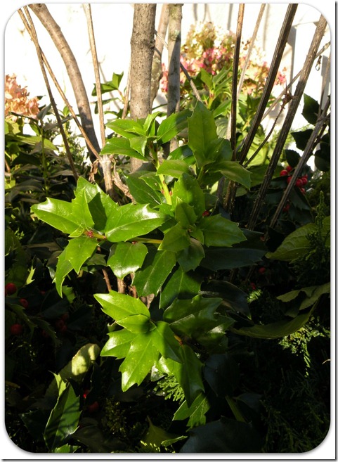 garden planters 4