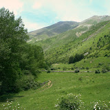IMAG0016.JPG