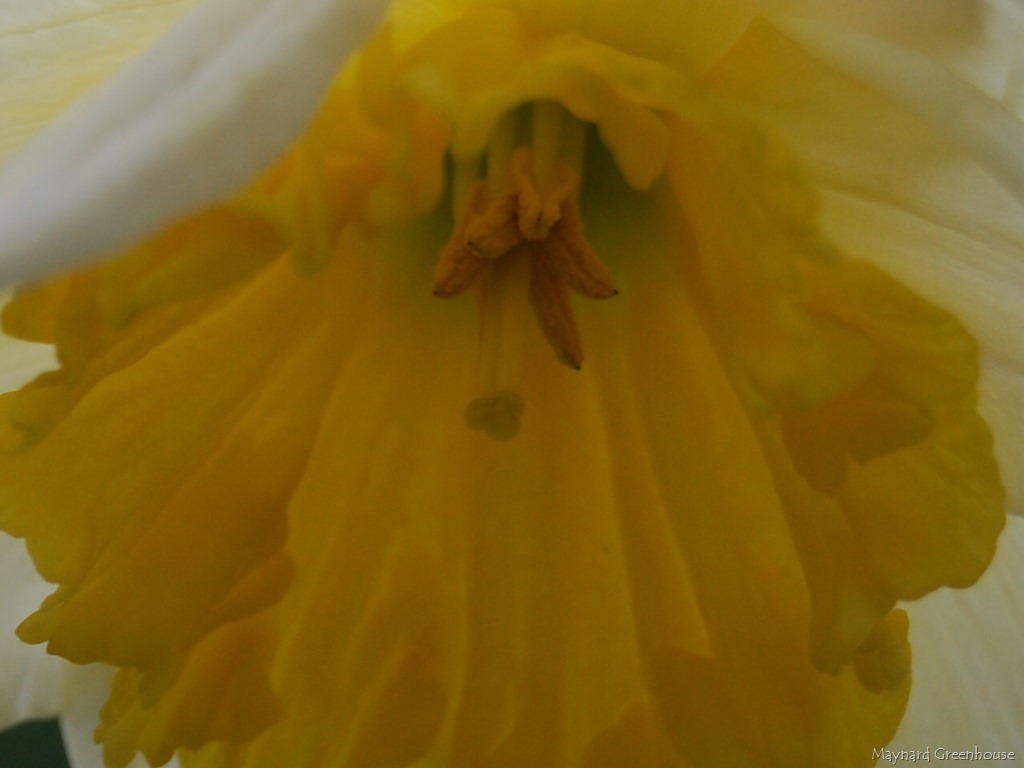 [CSC_0033%255B9%255D.jpg]