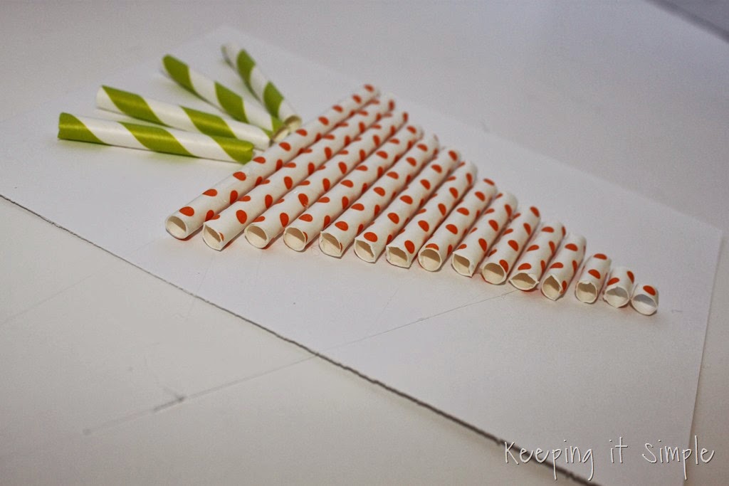 [paper-straw-carrot%2520%25284%2529%255B8%255D.jpg]