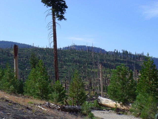 [mammoth%2520046%255B4%255D.jpg]