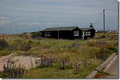 dungeness 024 dungeness 024