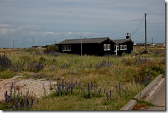 dungeness 024