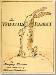 Velveteen rabbit