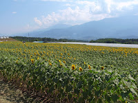 R0011866.JPG