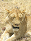 DSCN6776.JPG