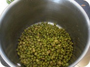 IMG_7413 IMG_7413