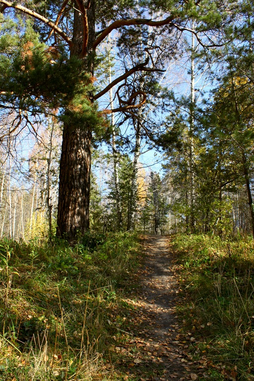 [IMG_7676_lab2%255B6%255D.jpg]