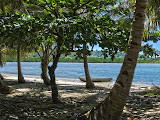 A nice shaded spot on the south side of Ile Sainte Marie. Madagascar6 - 043.jpg