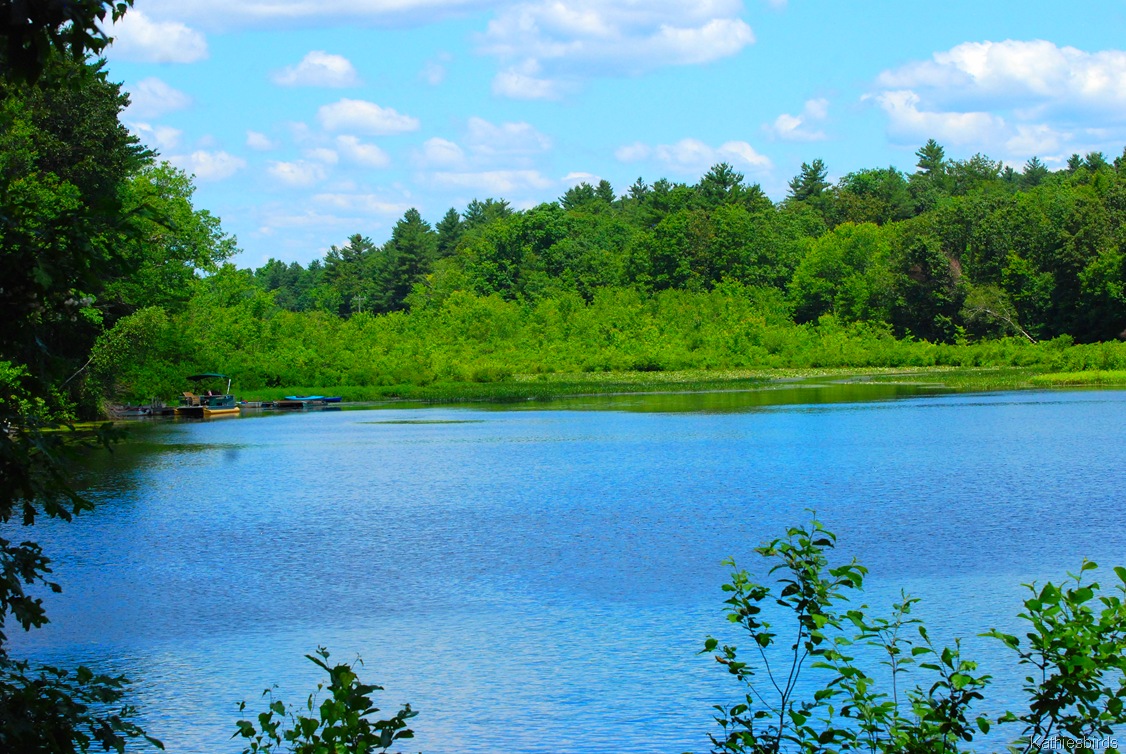 [7.%2520the%2520Lake-gusto%255B5%255D.jpg]