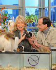 Our Friend Marc Morrone Has a New Show!