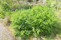 IMG_7983.JPG Photo