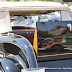 Car Show 1068.jpg