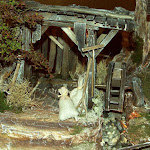 1362-4.jpg 1362-4.jpg