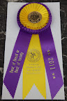 Best of Breed from the South Windsor Kennel Club in West Springfield Massachusetts!