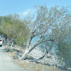 Kreta-06-10-291.JPG