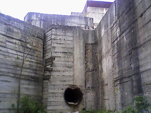 [4642076_d4afaa43.jpg]