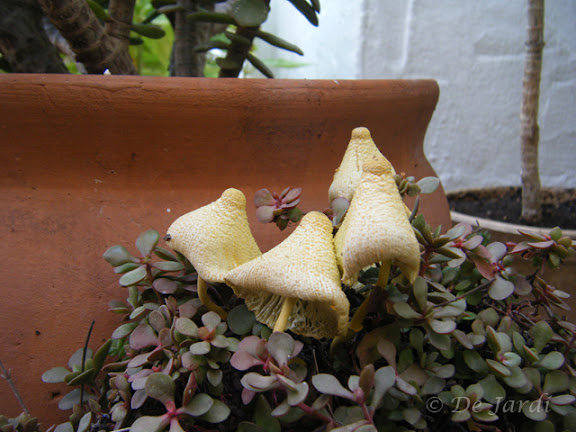 2012_09250024.jpg