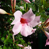 P1040020.JPG